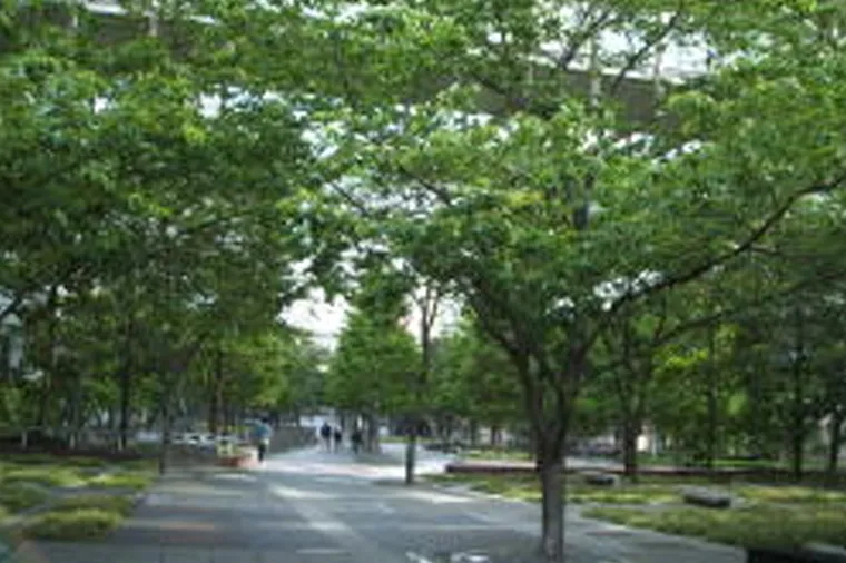 しばらく緑の中を下っていきます。南北どちらから入っても下ります。