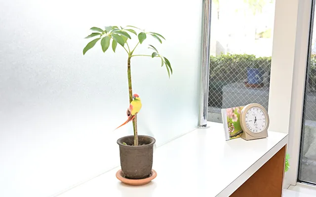当院の歯周病治療